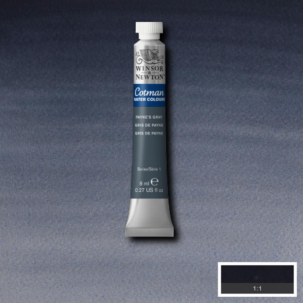 Acquerello Cotman 8ml Payne's Gray