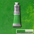 Olio Winton 37ml PERMANENT GREEN LIGHT