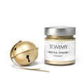Pittura metal Champagne Tommy art
