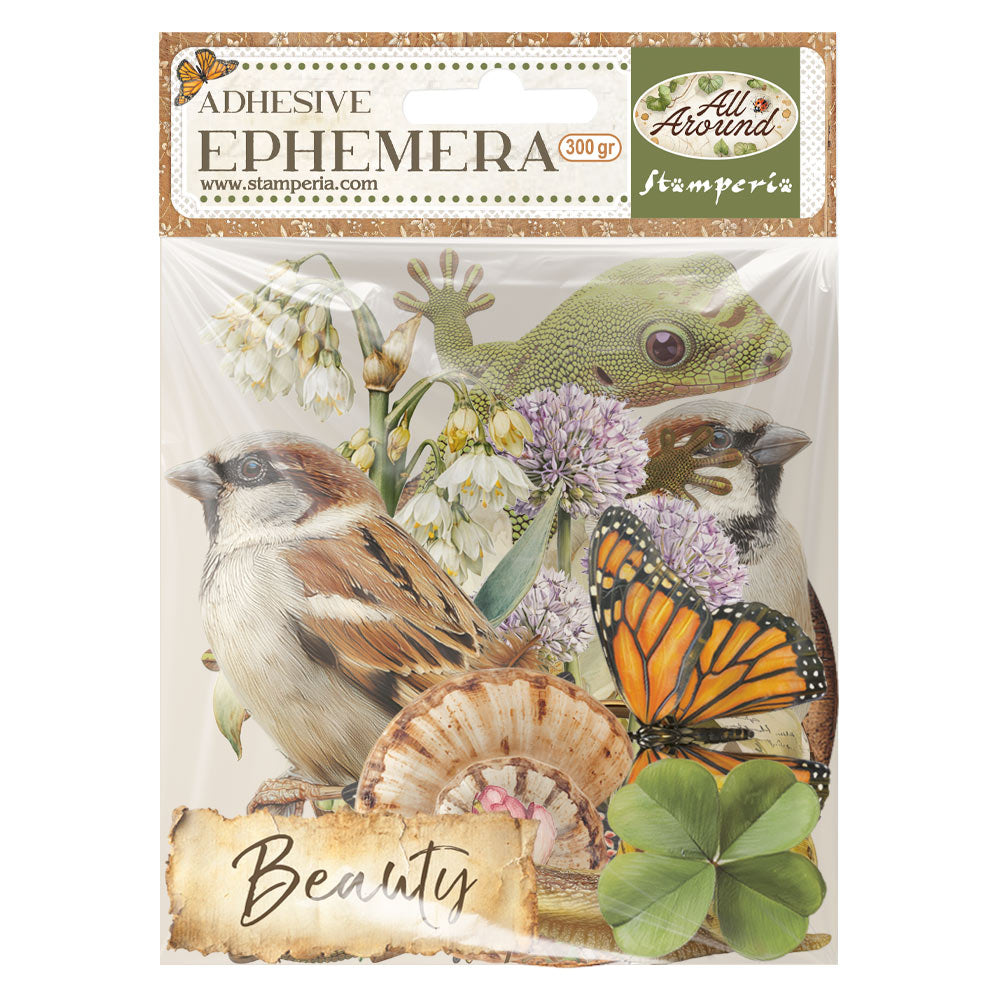 Ephemera All Around