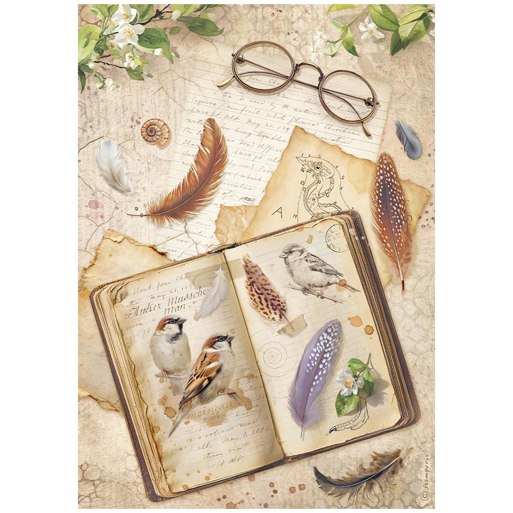 Carta riso A4 All around libro