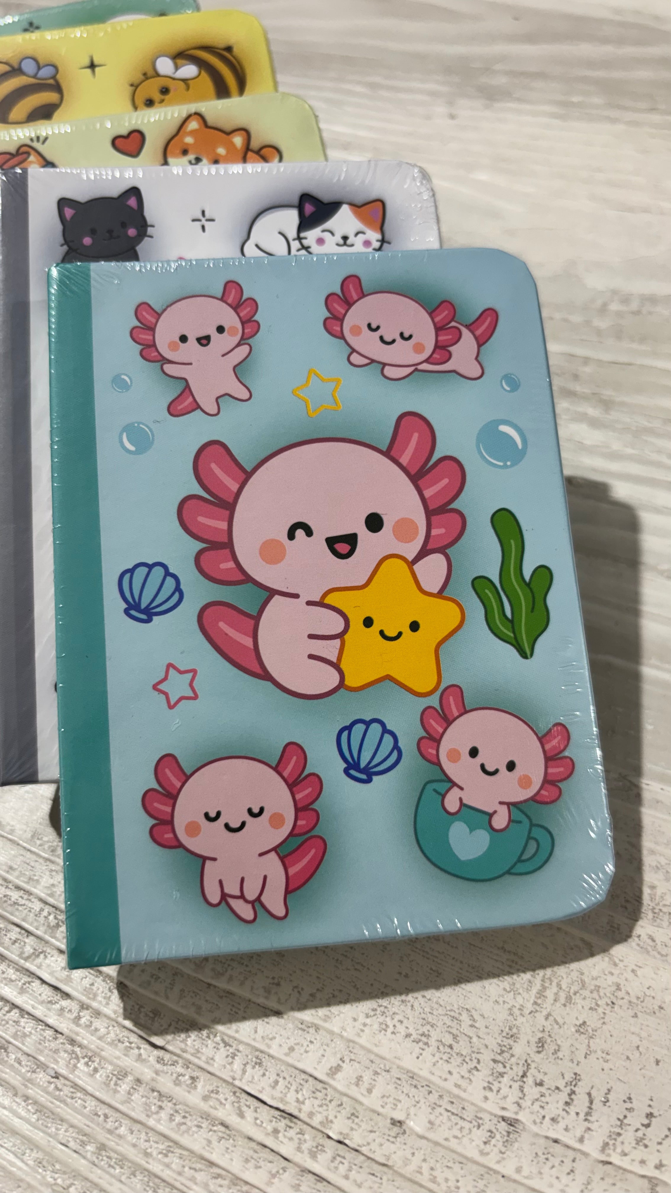 itotal Mini Notebooks Axolutely