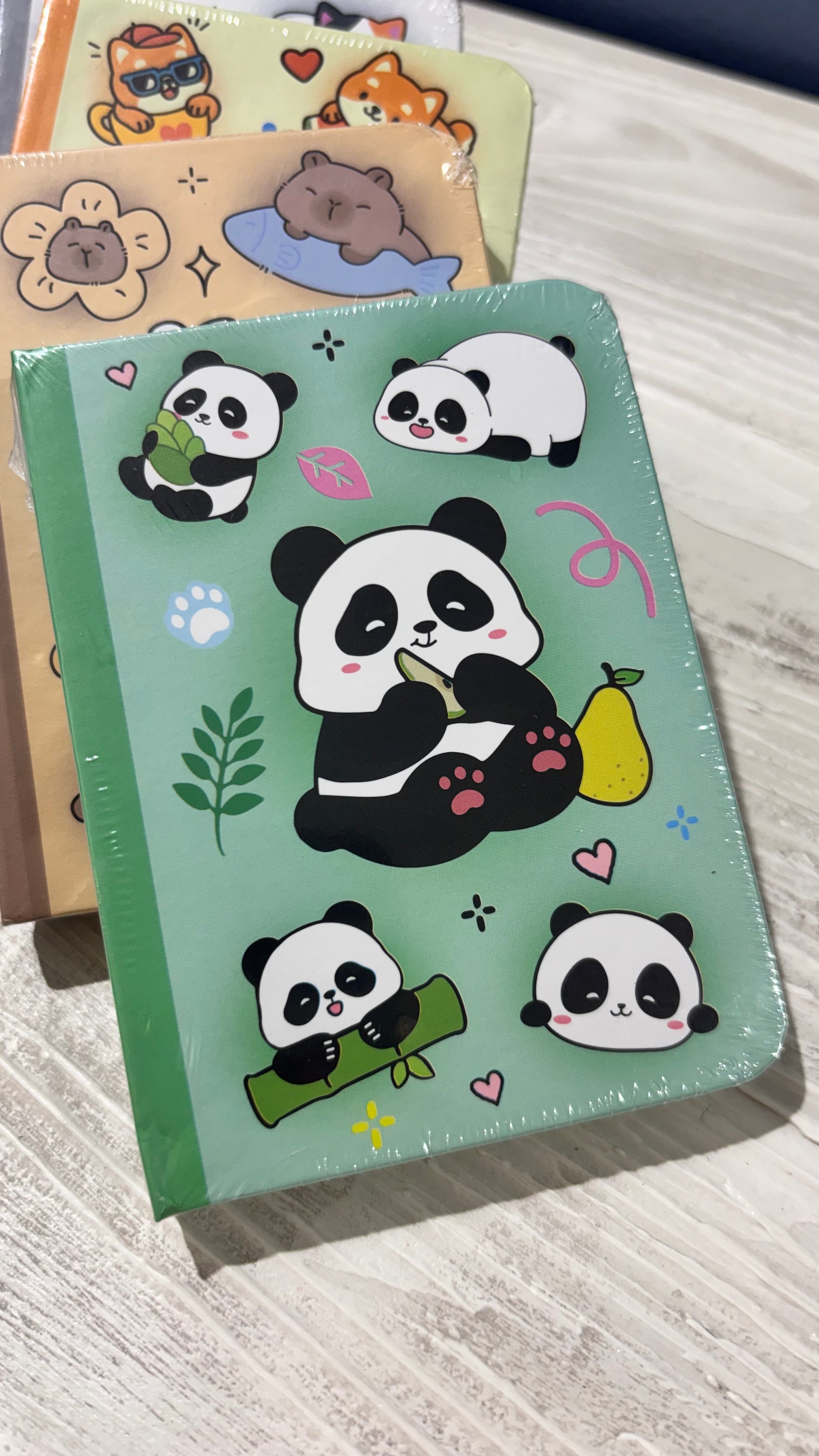 itotal Mini Notebooks Pandastic