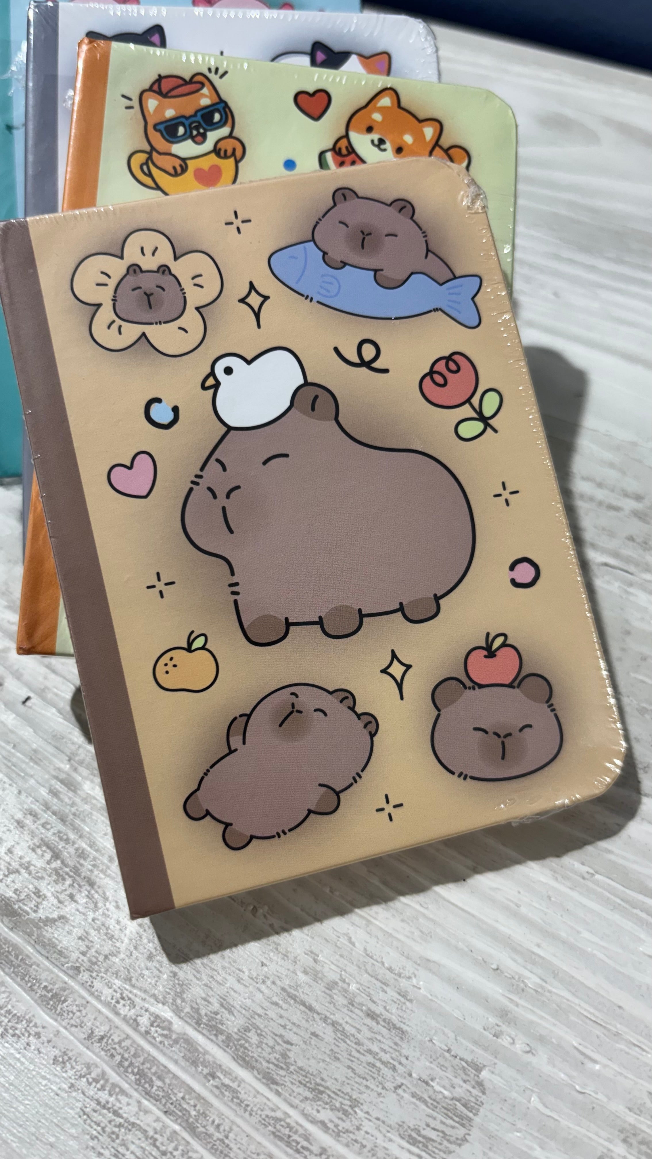 itotal Mini Notebooks So Cappy