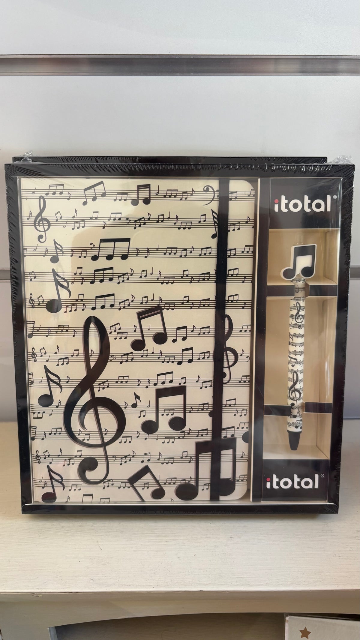 itotal Quaderno A5 Con Penna Cancellabile in Plastica