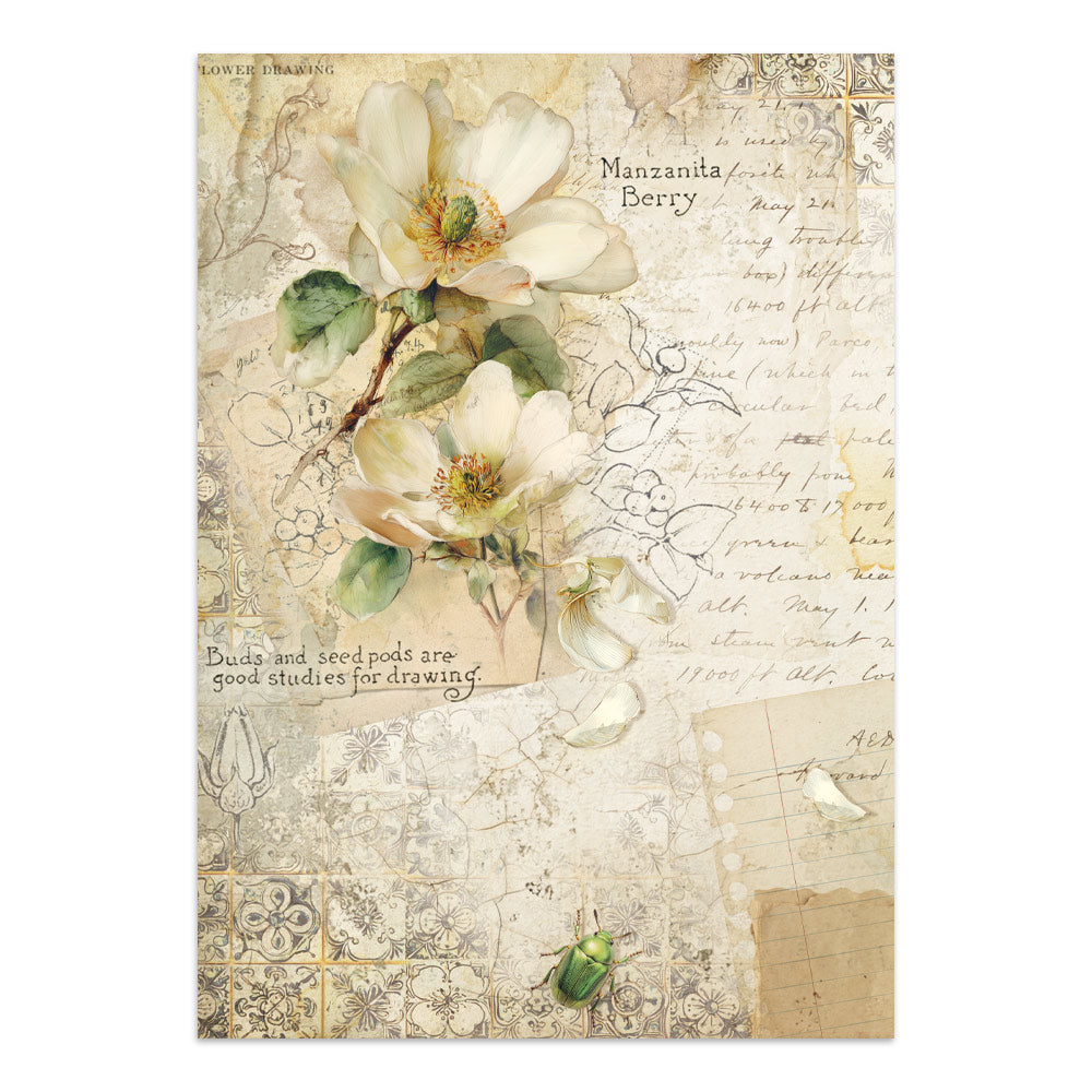 Junk Journal All around A4