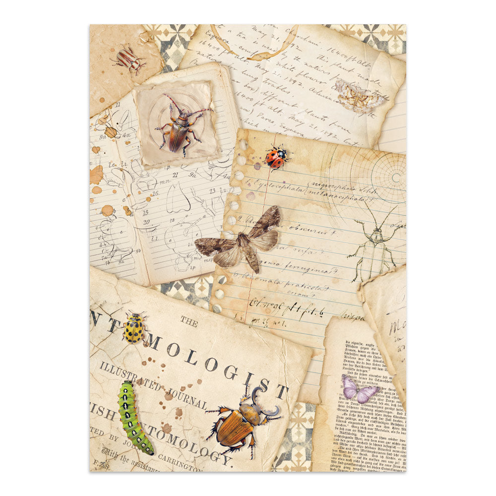 Junk Journal All around A4