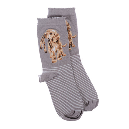 Calzine super soffici -donna- 'Hopeful' labrador -grigio