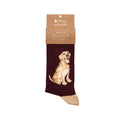 Calzini super soffici -uomo- 'Good as Gold' bordeaux, golden retriever