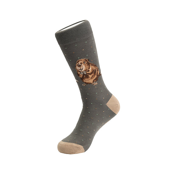 Calzini super soffici -uomo- 'The Arborist'  grigio, castoro