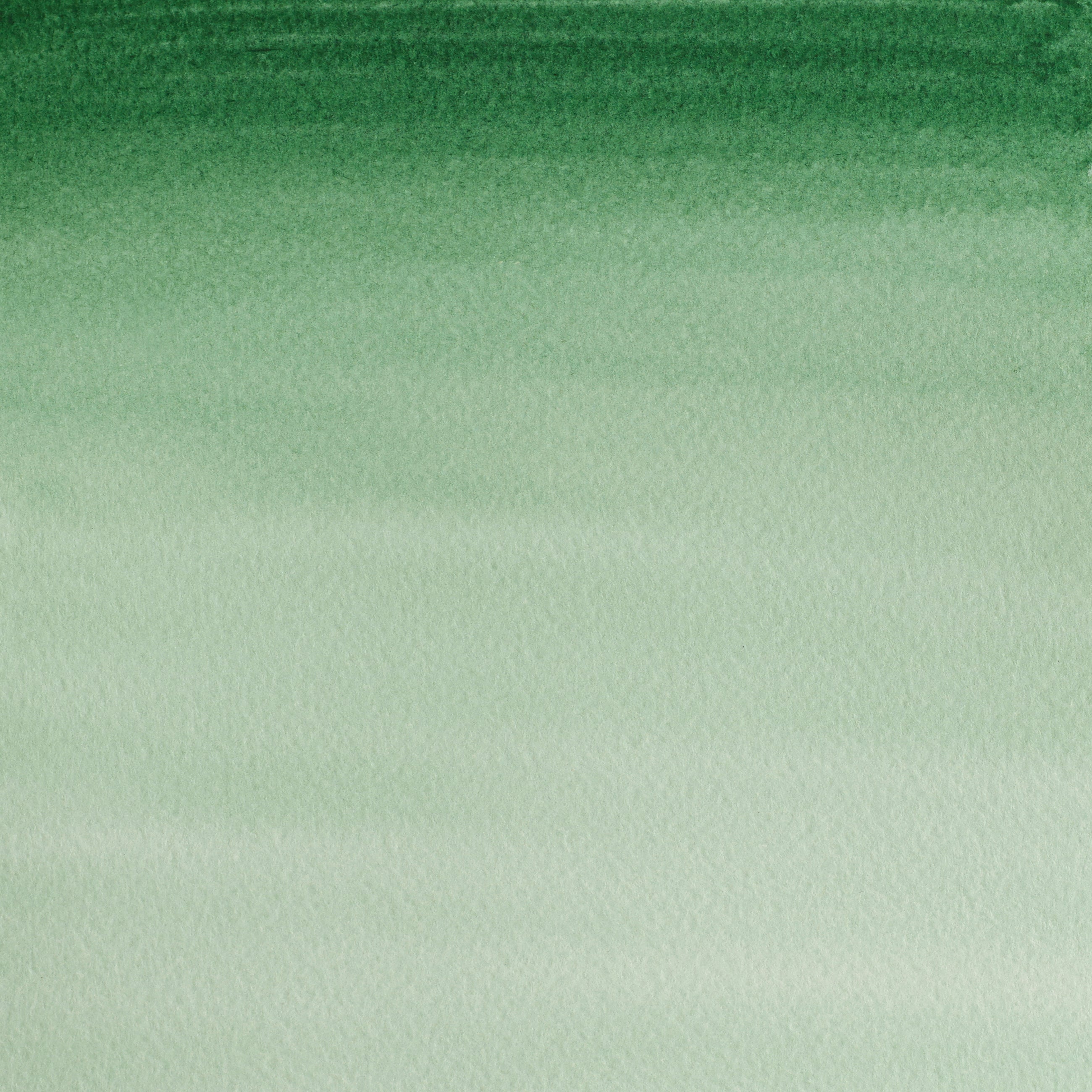 Acquerello Cotman 8ml Verde Hooker scuro