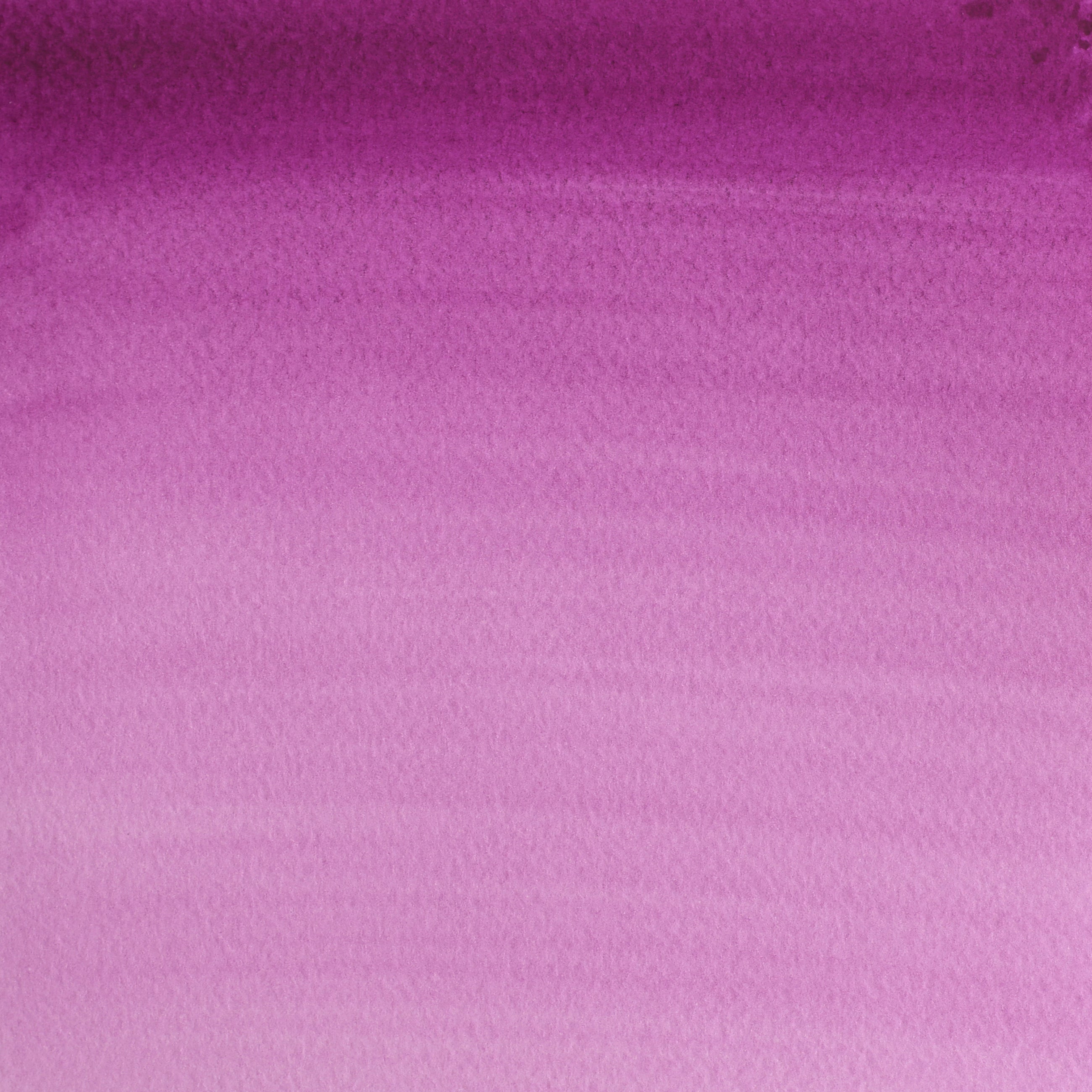 Acquerello Cotman 8ml malva