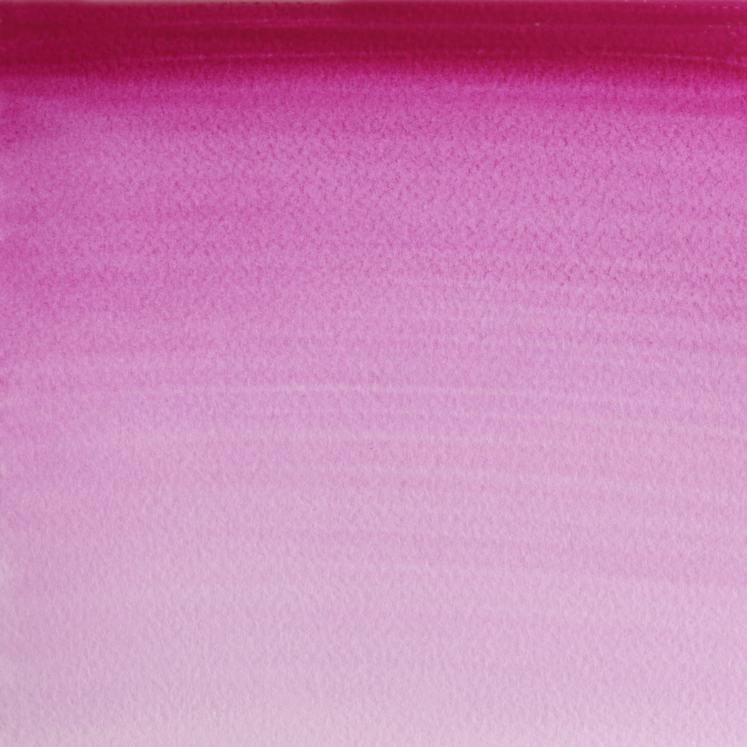 Acquerello Cotman 8ml purple lake