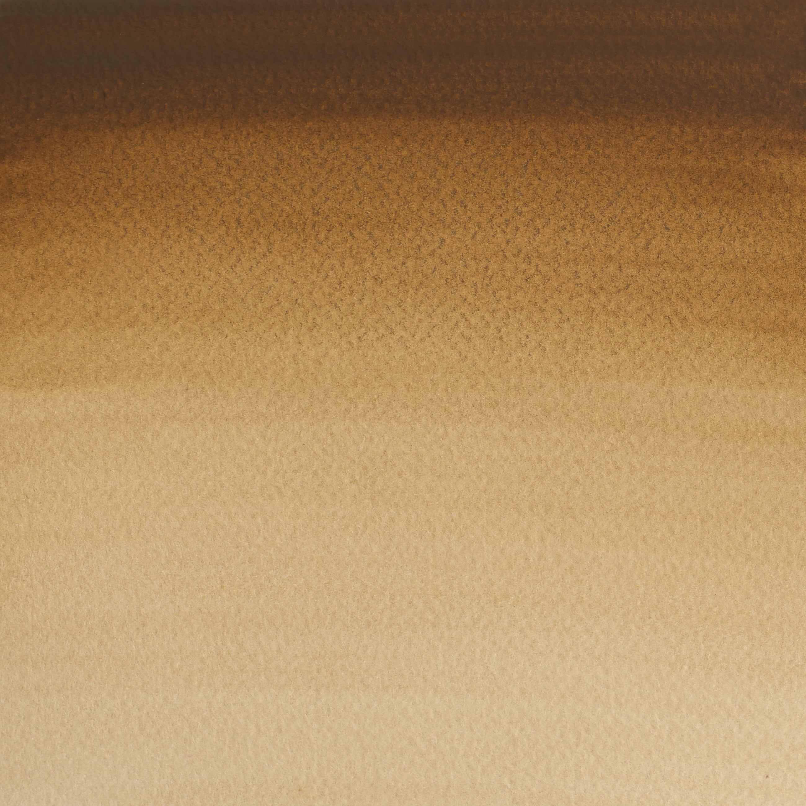 Acquerello Cotman 8ml Terra d'ombra naturale