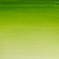 Acquerello Cotman 8ml Sap green (verde vescica)