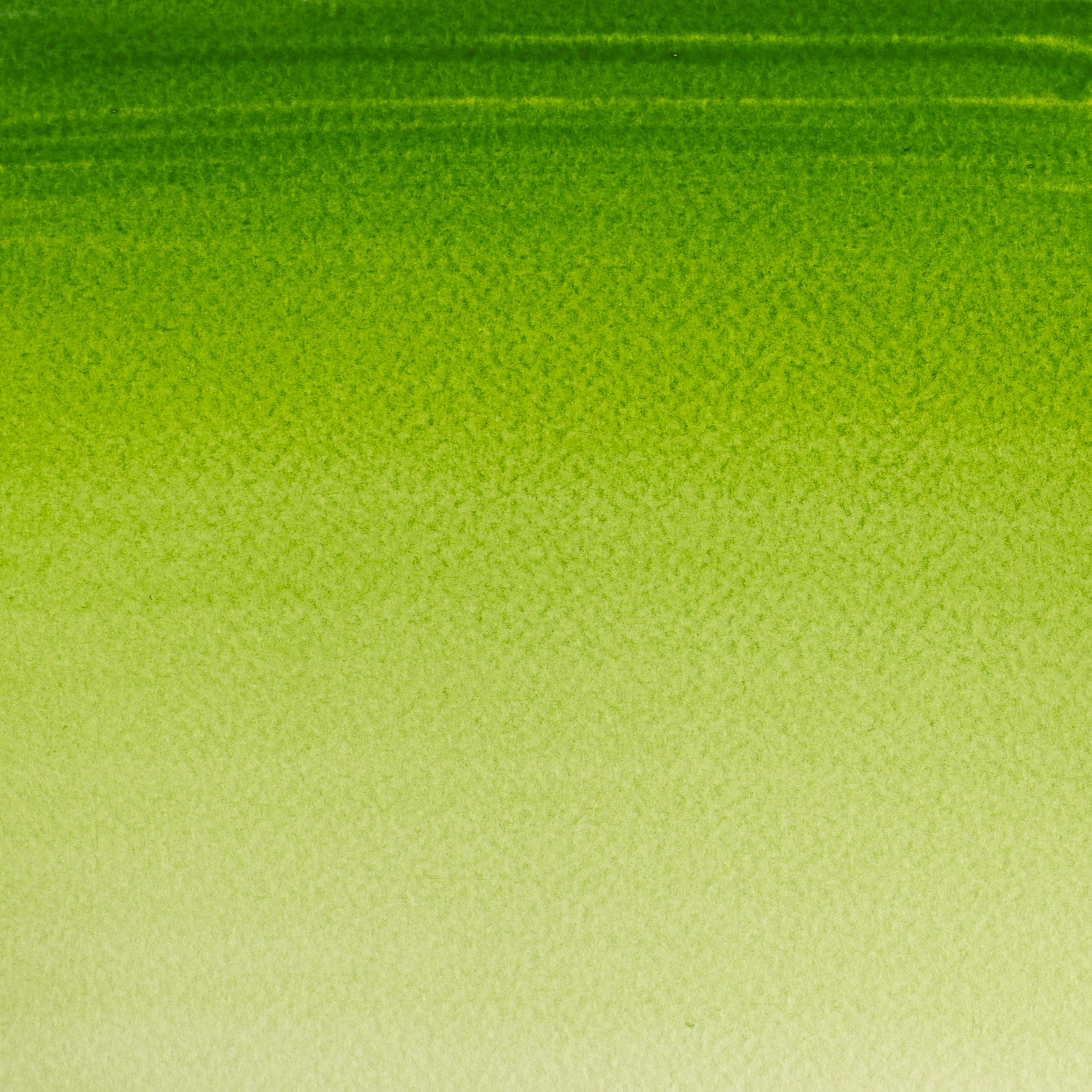 Acquerello Cotman 8ml Sap green (verde vescica)