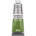 Olio Winton 37ml Terra verde