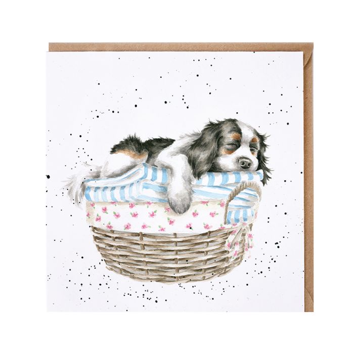 Biglietto 'Wash, Dry, Fold Repeat'  - cagnolino spaniel card