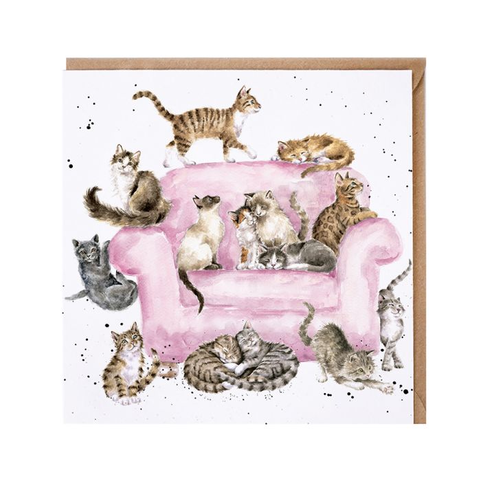 Biglietto 'cattitude'  - gattini card
