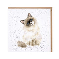 Biglietto 'paws for thought'  - gattino Ragdoll card