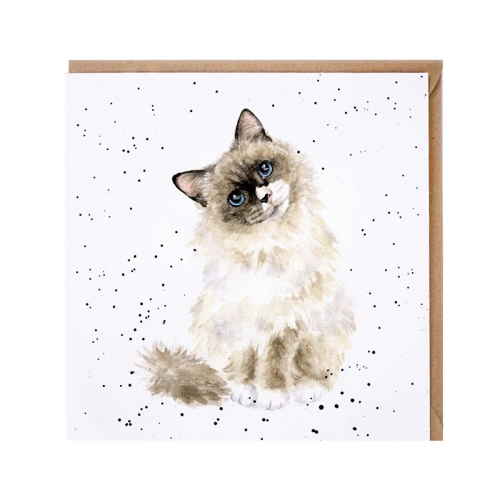 Biglietto 'paws for thought'  - gattino Ragdoll card