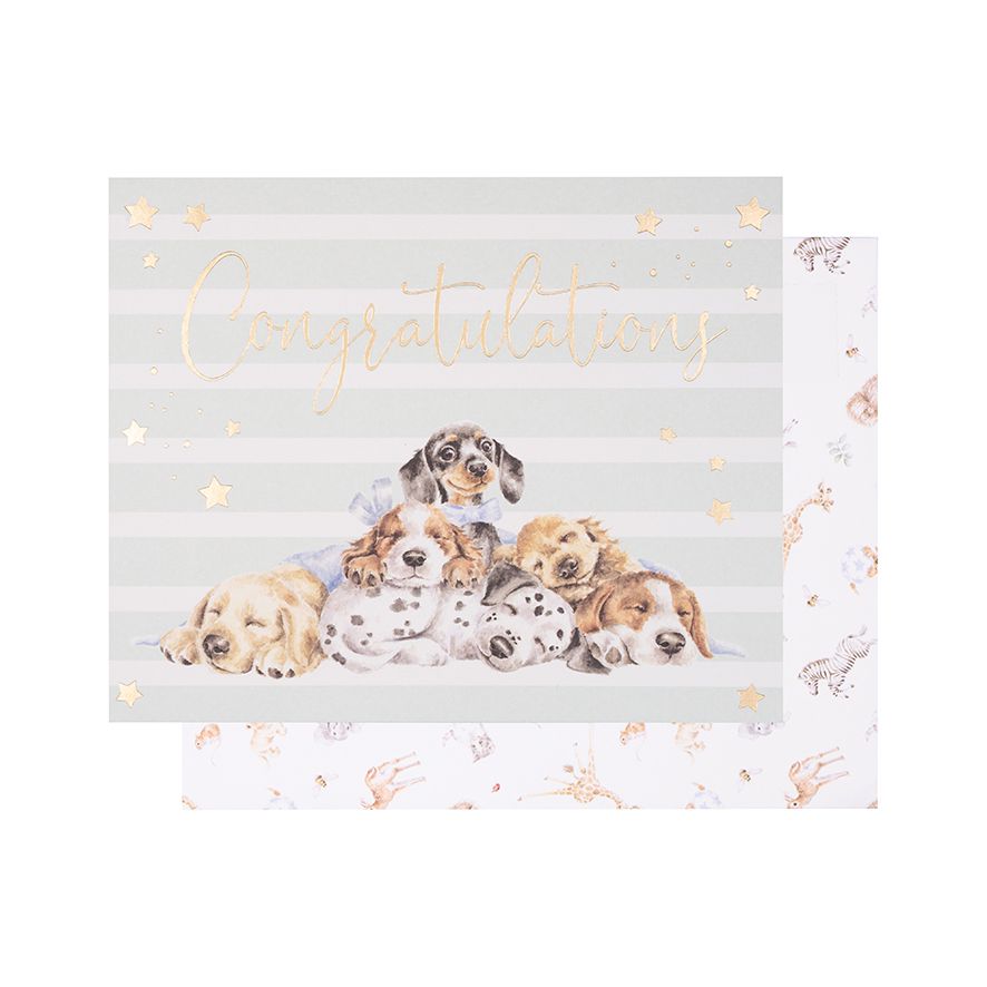 Biglietto di Congratulazioni 'Little paws' - cagnolini