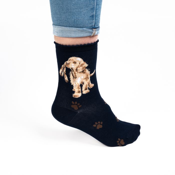 Calzine super soffici -donna- 'Hopeful' labrador - blu